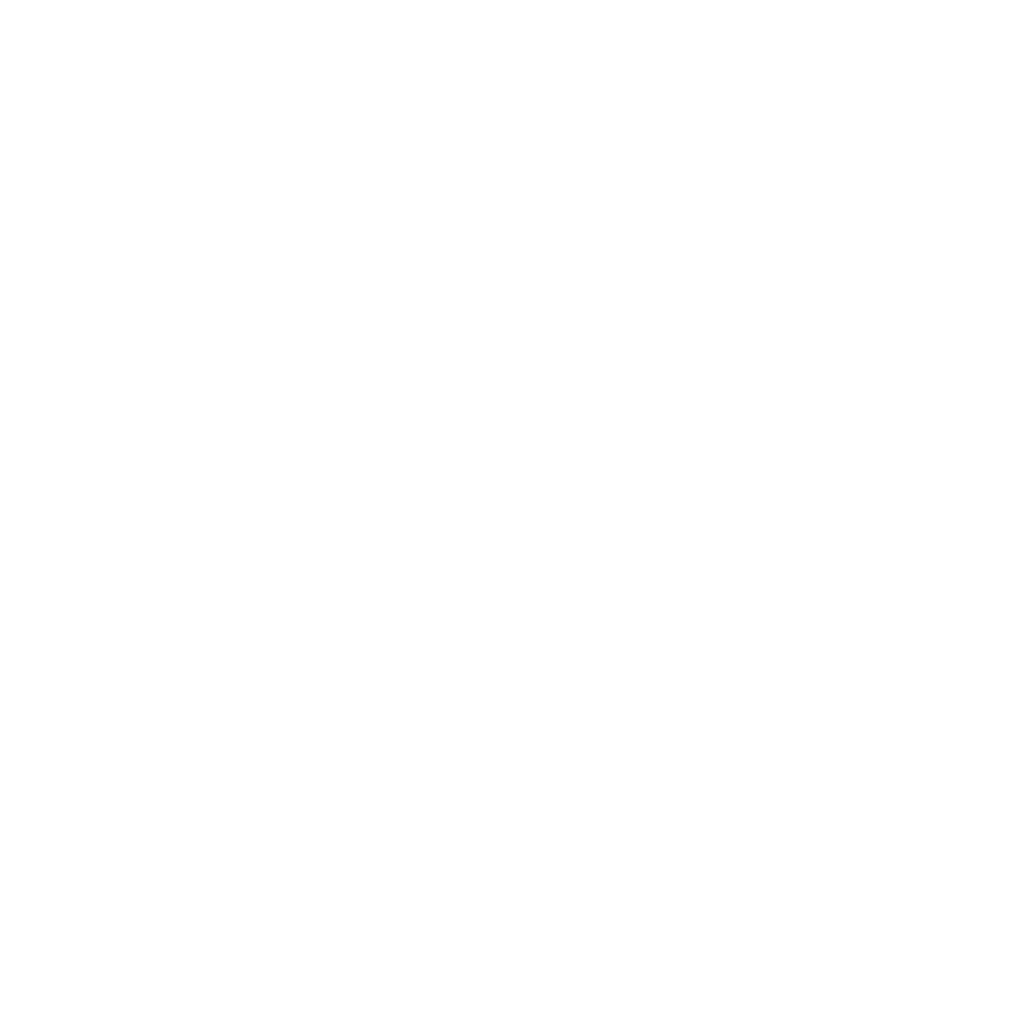 SkyElite Logo
